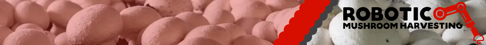 Robotic Mushroom Harvesting