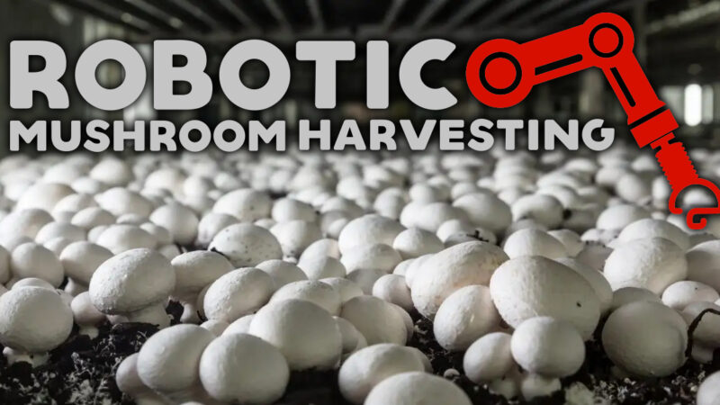 Robotic Mushroom Harvesting