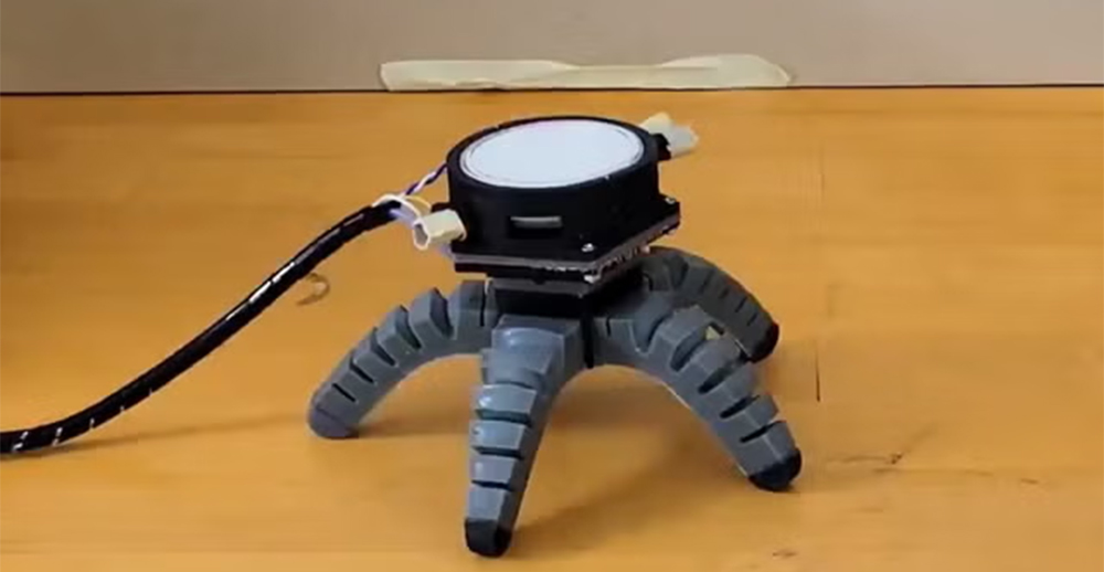 Mushroom learns to crawl after being given robot body